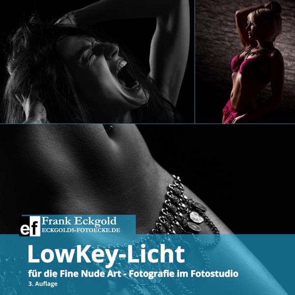 LowKey-Licht für die Fine Nude Art - Fotografie im Fotostudio
